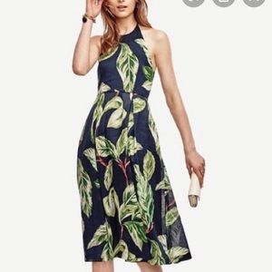 Ann Taylor Amalfi Palm Leaf Print Halter Dress